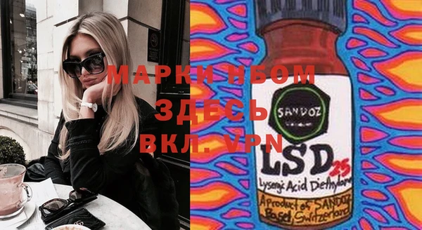 прущие грибы Вяземский