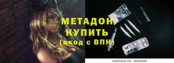 прущие грибы Вязники