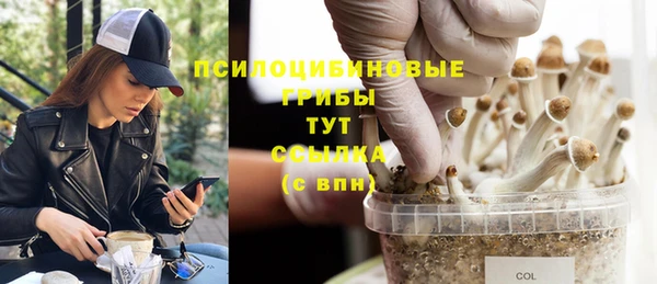 индика Алексин