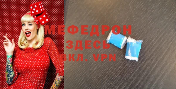 индика Алексин