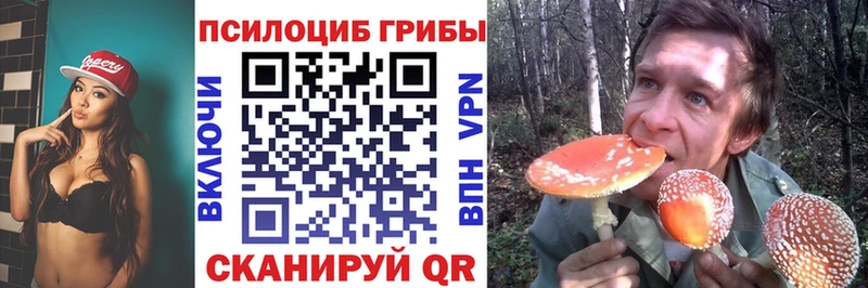 MEGA вход  Ишим  Псилоцибиновые грибы ЛСД 