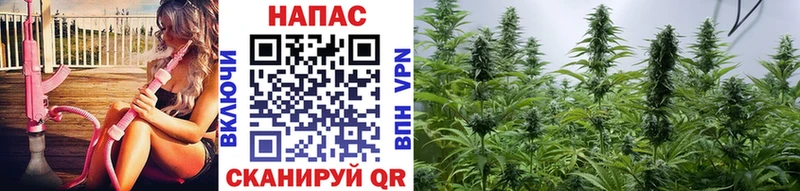 купить наркоту  Ишим  Каннабис марихуана 